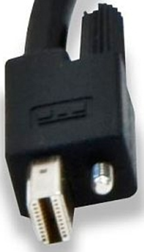 Matrox Mini DisplayPort - DP Adapter