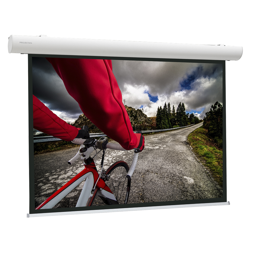 Projecta 216x340cm Projection Screen