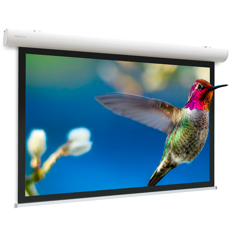 Projecta 216x340cm Projection Screen