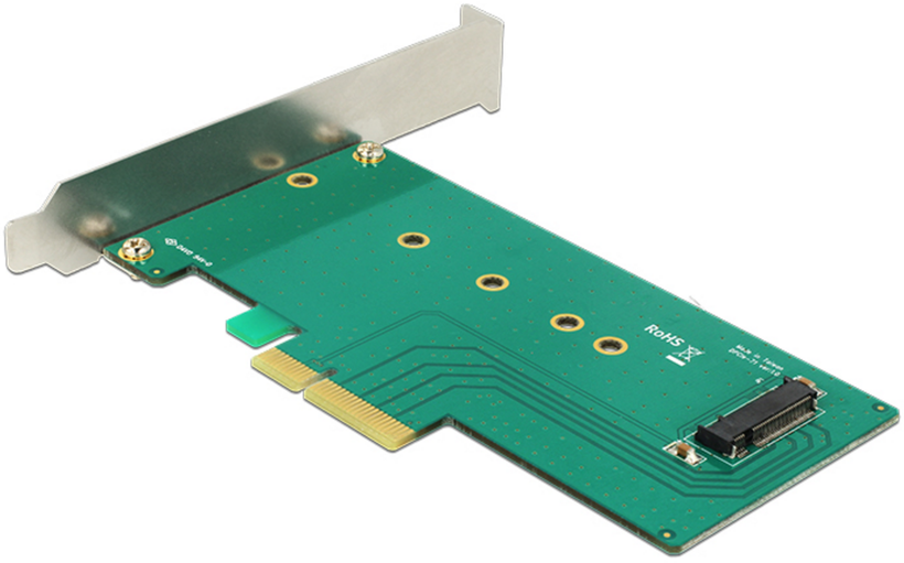 Delock M.2 (NVMe) PCIe Interface