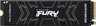 Miniatuurafbeelding van Fury Renegade SSD 1TB