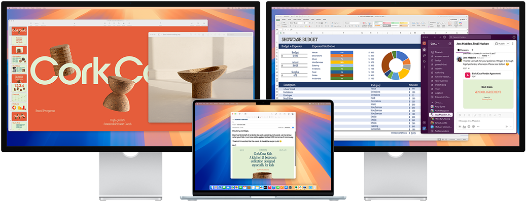 Apple MacBook Air M4 Externe Disyplays