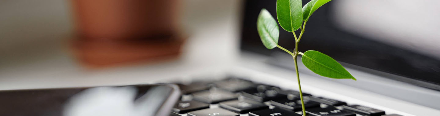 Mainbanner About ARP | MVO