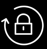 Icon Security Updates