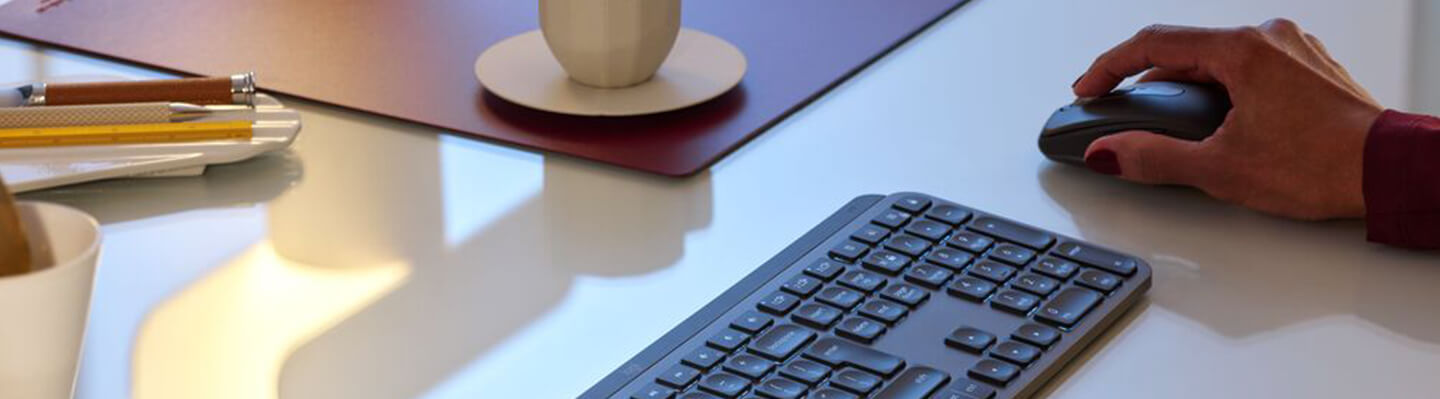 Logitech Mäuse und Tastaturen
