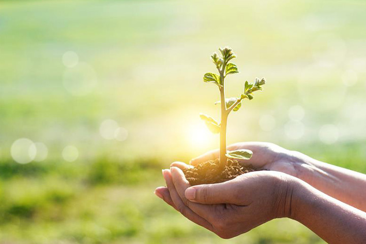 ARTICONA Hand with Leaf